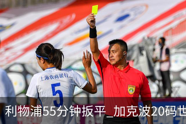 利物浦55分钟扳平 加克波20码世界波直挂死角